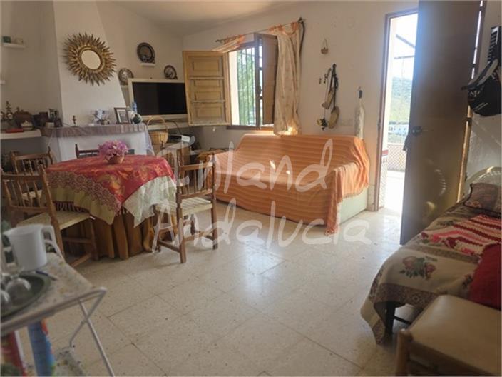 Image No.10-Ferme de 3 chambres à vendre à Cómpeta