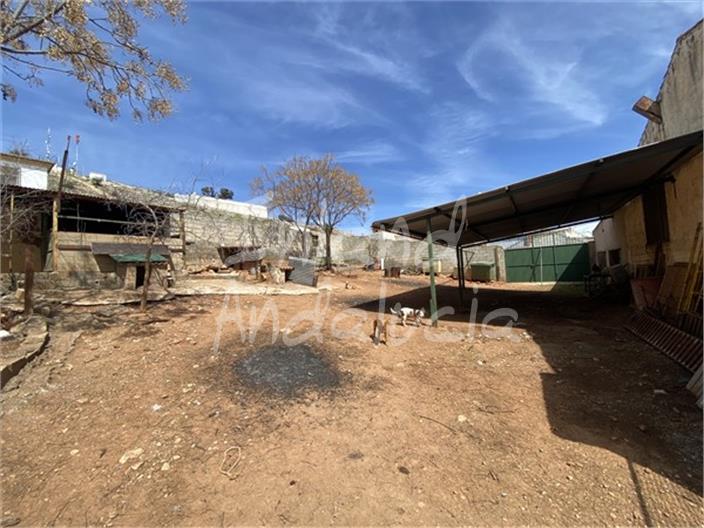 Image No.3-Commercial à vendre à Íllora