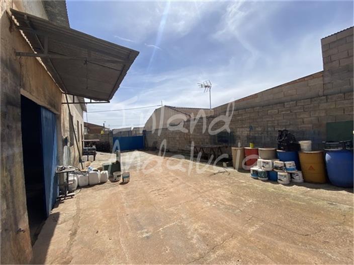 Image No.5-Commercial à vendre à Íllora