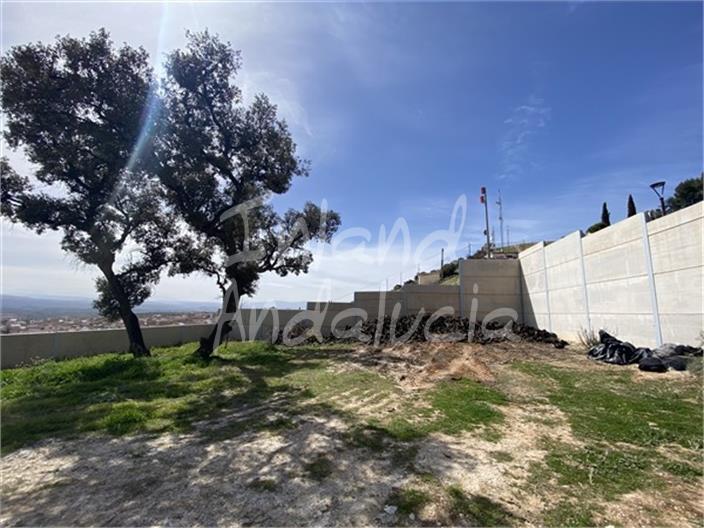 Image No.4-Land for sale