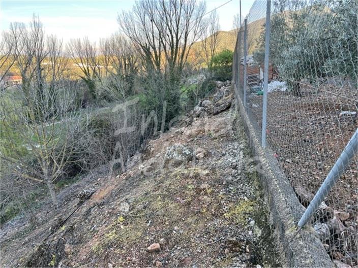 Image No.3-Finca for sale