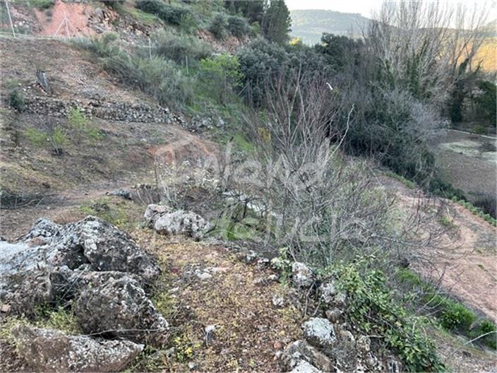 Image No.8-Finca for sale