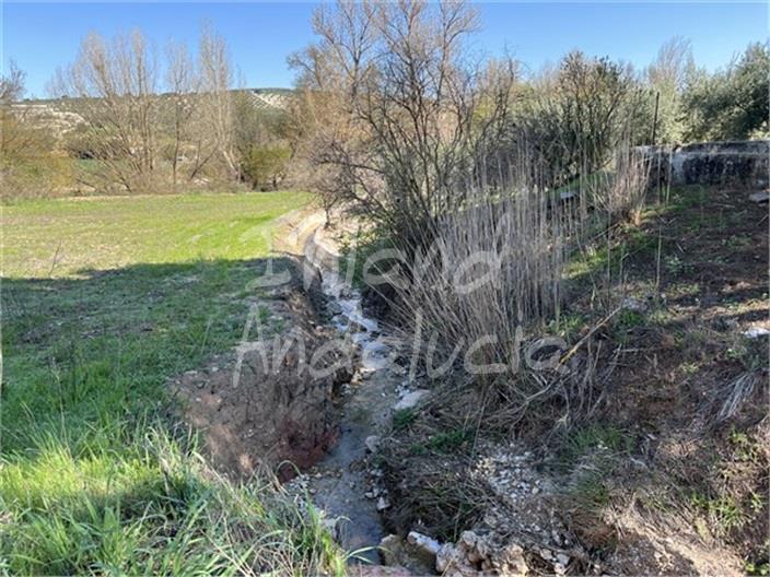 Image No.3-4 Bed Farmhouse for sale