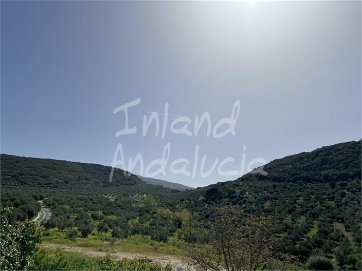 Image No.4-4 Bed Farmhouse for sale