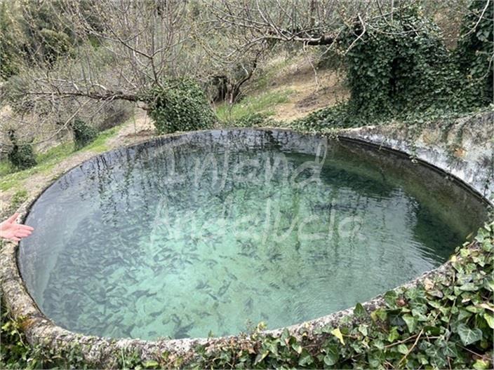 Image No.3-Ferme de 3 chambres à vendre à Charilla