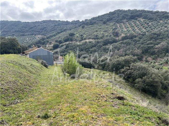 Image No.8-Ferme de 3 chambres à vendre à Charilla