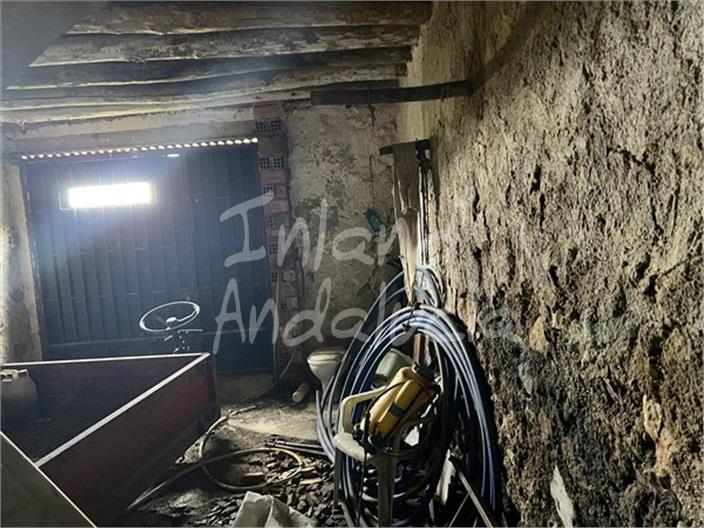 Image No.10-Ferme de 3 chambres à vendre à Charilla