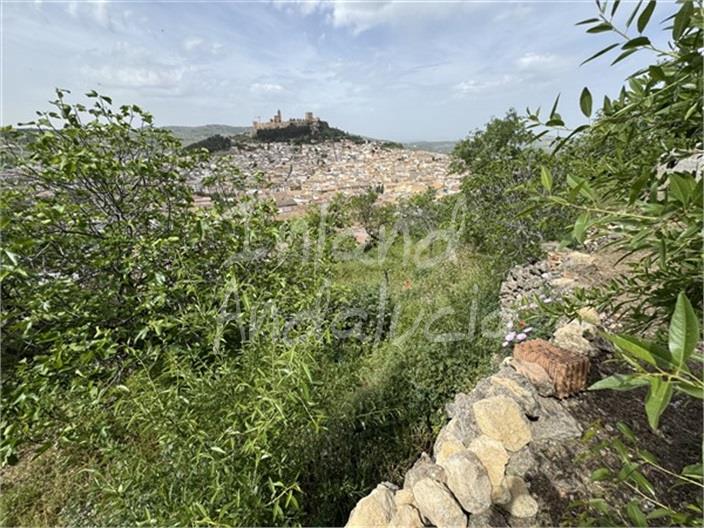 Image No.4-House for sale