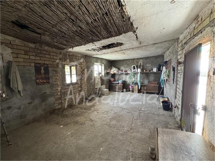 Image No.5-House for sale