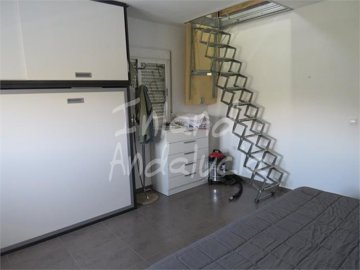 ch4929