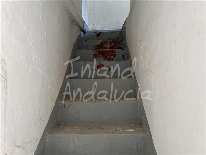 Image No.8-Ferme de 3 chambres à vendre à Priego de Córdoba