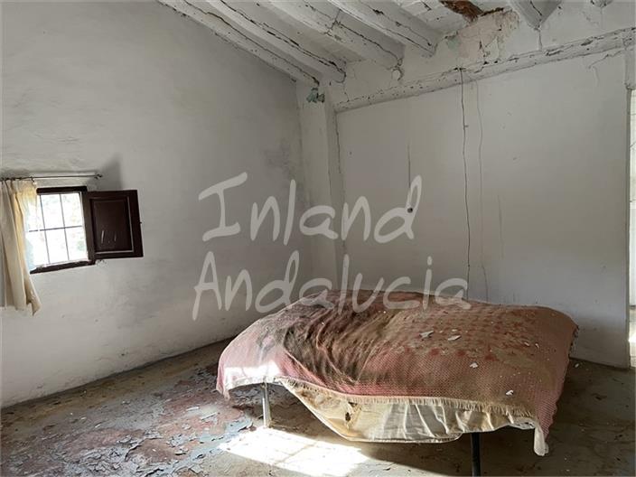Image No.9-Ferme de 3 chambres à vendre à Priego de Córdoba