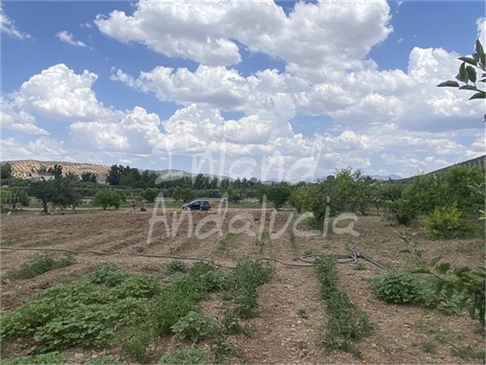 Image No.5-Land for sale