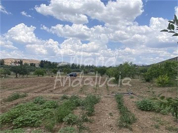 pl3254