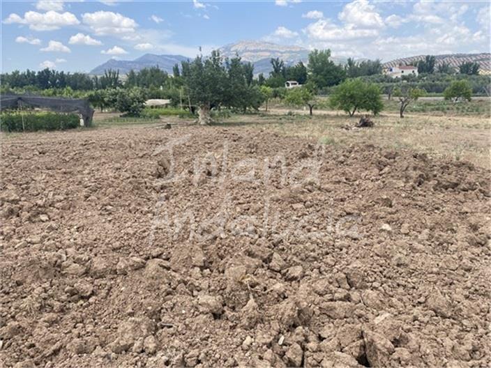 Image No.7-Land for sale