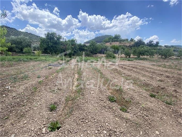 Image No.10-Land for sale