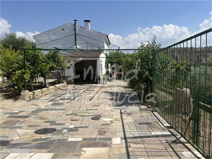 Image No.3-Ferme de 5 chambres à vendre à Alcaudete
