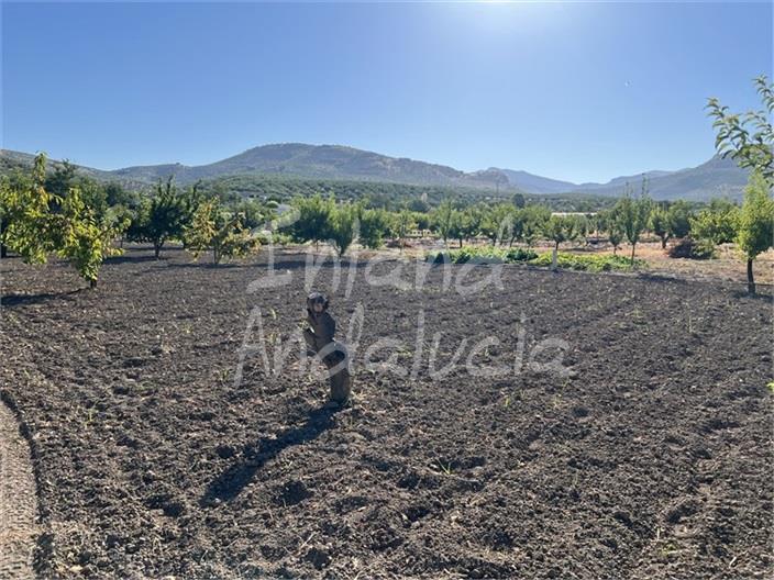 Image No.6-Finca de 2 chambres à vendre à Castillo de Locubín