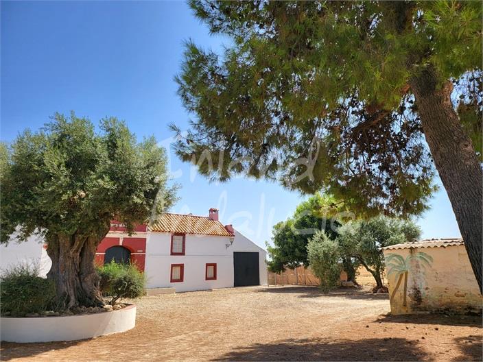 Image No.7-5 Bed Farmhouse for sale