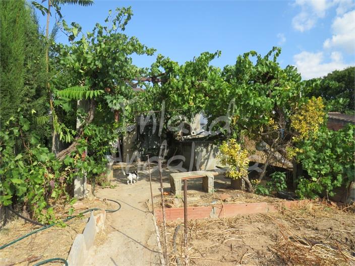 Image No.6-3 Bed House for sale