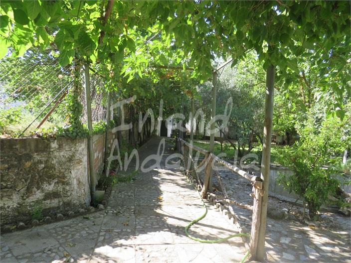 Image No.5-Ferme de 5 chambres à vendre à Fuensanta de Martos