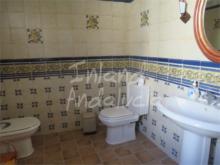 Image No.8-Ferme de 5 chambres à vendre à Fuensanta de Martos