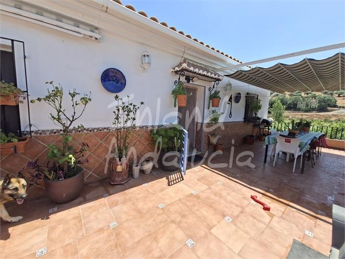 Image No.3-3 Bed Farmhouse for sale