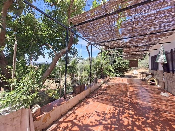 Image No.4-4 Bed Finca for sale
