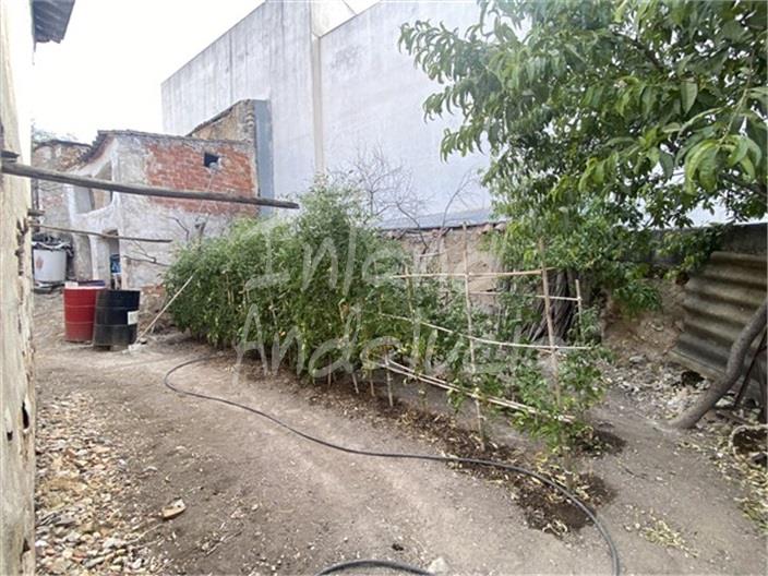 Image No.11-4 Bed House for sale