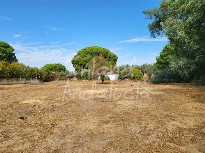 Image No.4-4 Bed Villa for sale