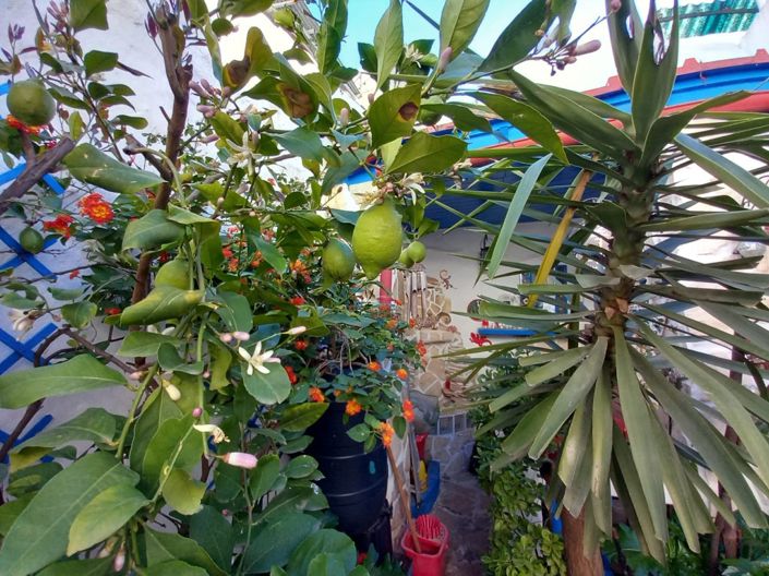 Image No.23-Maison de ville de 3 chambres à vendre à Castillo de Locubín