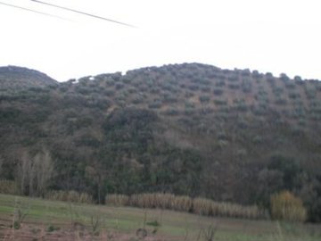 full2101132614700