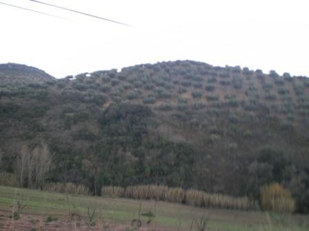 Image No.3-3 Bed Villa for sale