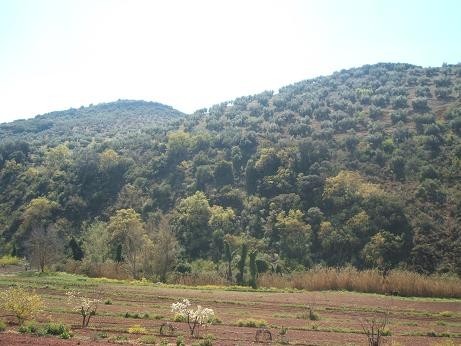 Image No.7-3 Bed Villa for sale