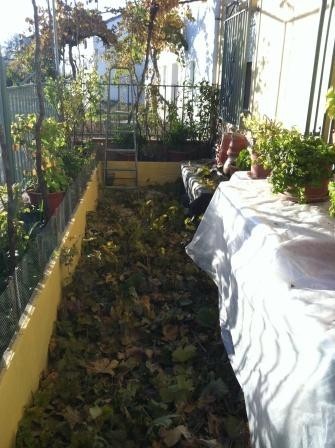 Image No.9-4 Bed Village House for sale