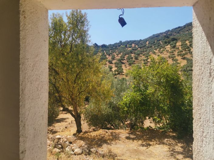 Image No.33-6 Bed Country House for sale