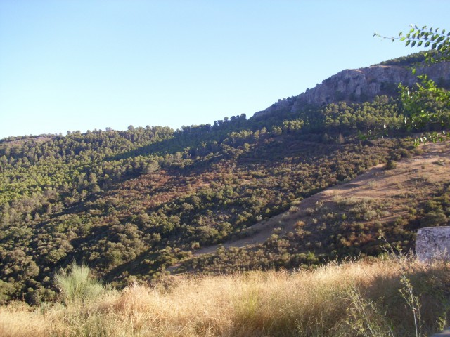 Image No.14-4 Bed Country Property for sale