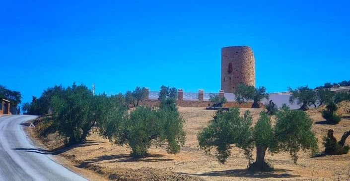 Image No.10-Maison de ville de 2 chambres à vendre à Fuente Alamo