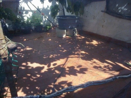 Image No.2-Maison de ville de 4 chambres à vendre à Alcalá la Real