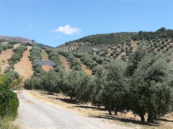 Image No.17-5 Bed Country Property for sale