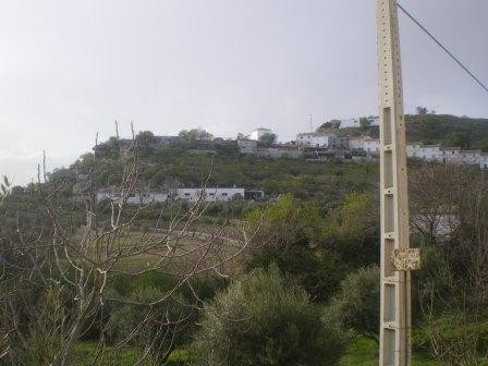 Image No.2-Maison de village de 4 chambres à vendre à Frailes