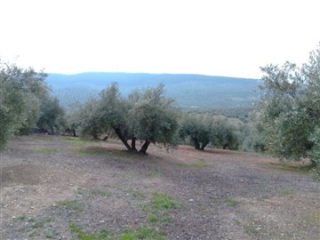 Undiscovered Spain most sold property