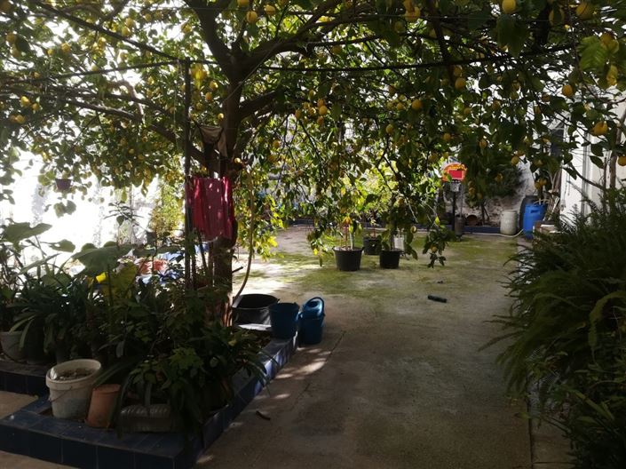 Image No.5-7 Bed Apartment for sale