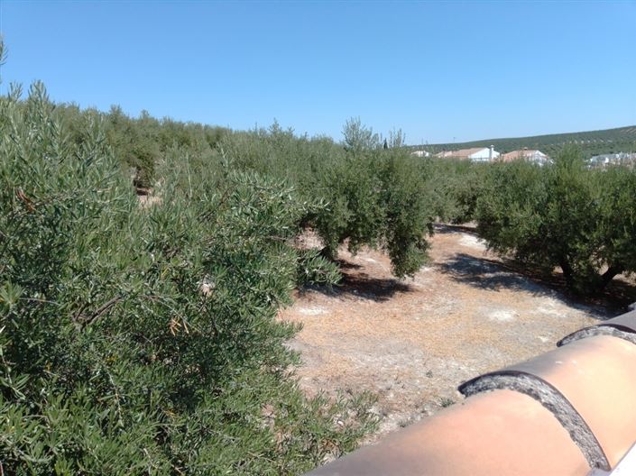 Image No.37-5 Bed Village House for sale