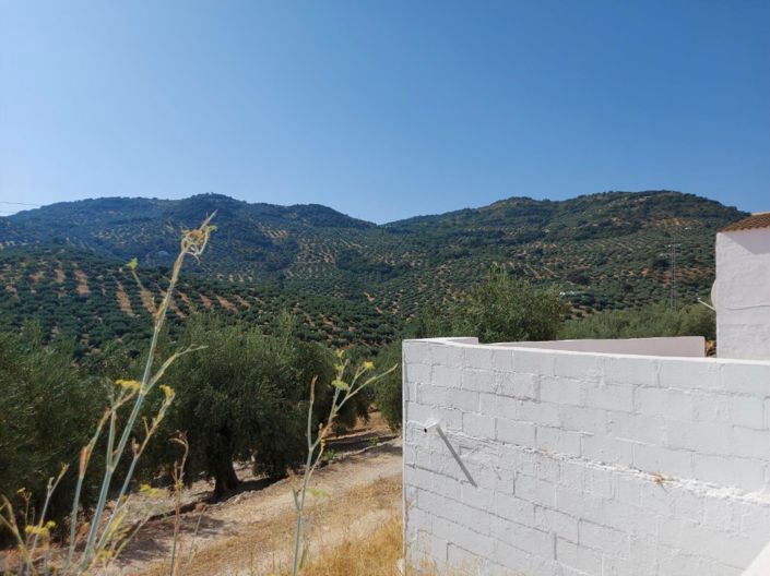 Image No.34-4 Bed Cortijo for sale