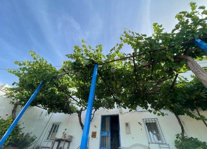 Image No.5-3 Bed Country House for sale