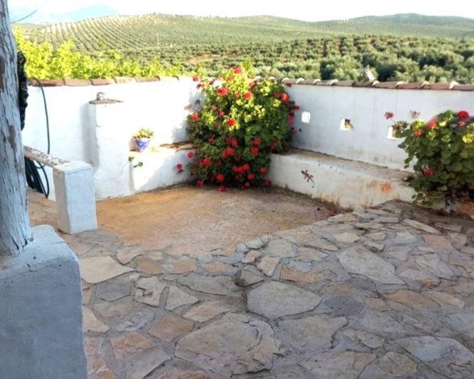 Image No.24-3 Bed Country House for sale