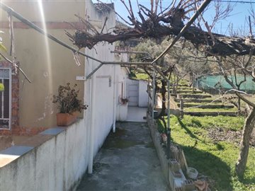 full124654359578660