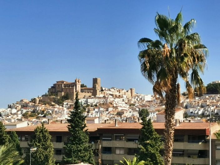 Image No.14-Propriété à vendre à Martos