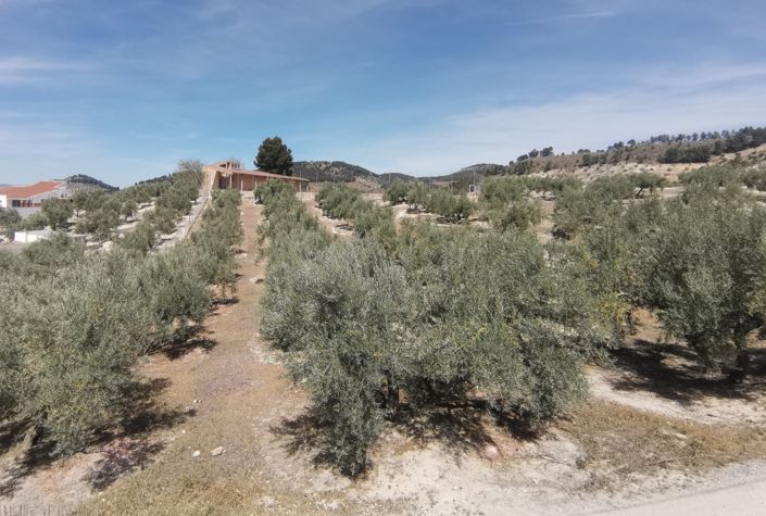 Image No.22-4 Bed Country House for sale